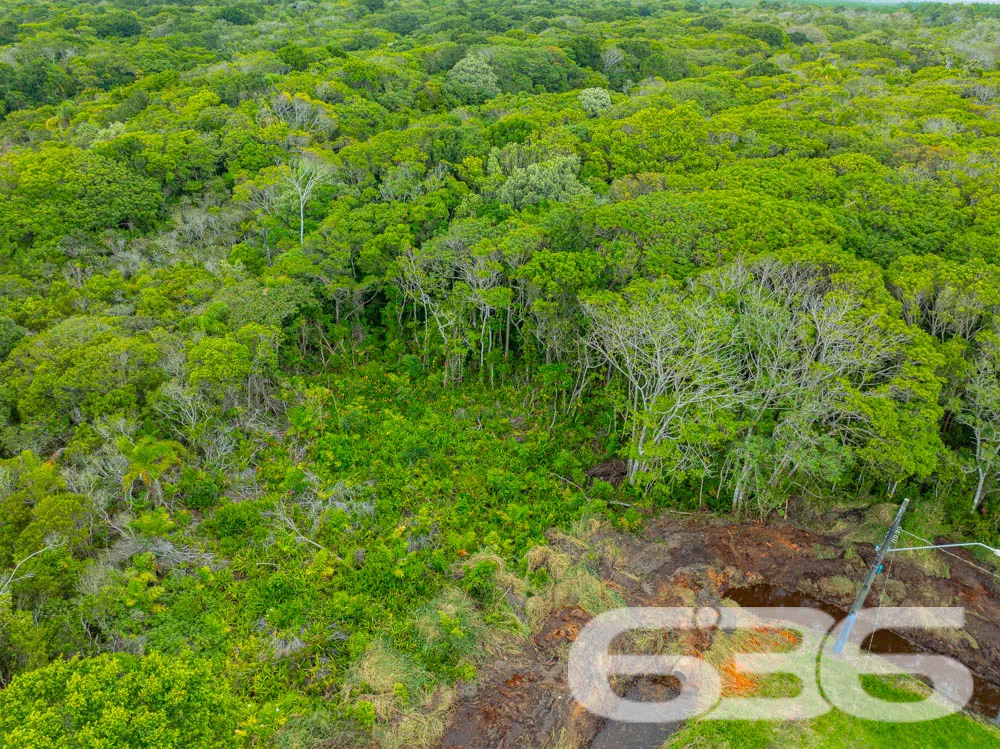 Descubra o Encanto de Balneário Barra do Sul – Ter
