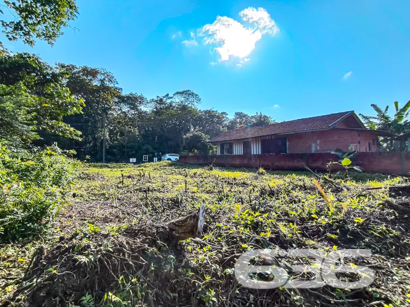 Terreno plano, com excelente aproveitamento e rode