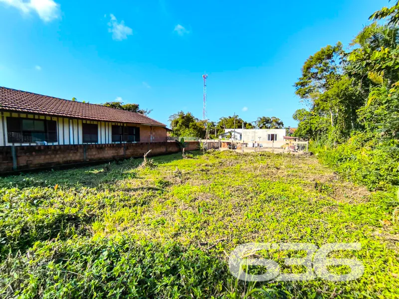 Terreno plano, com excelente aproveitamento e rode