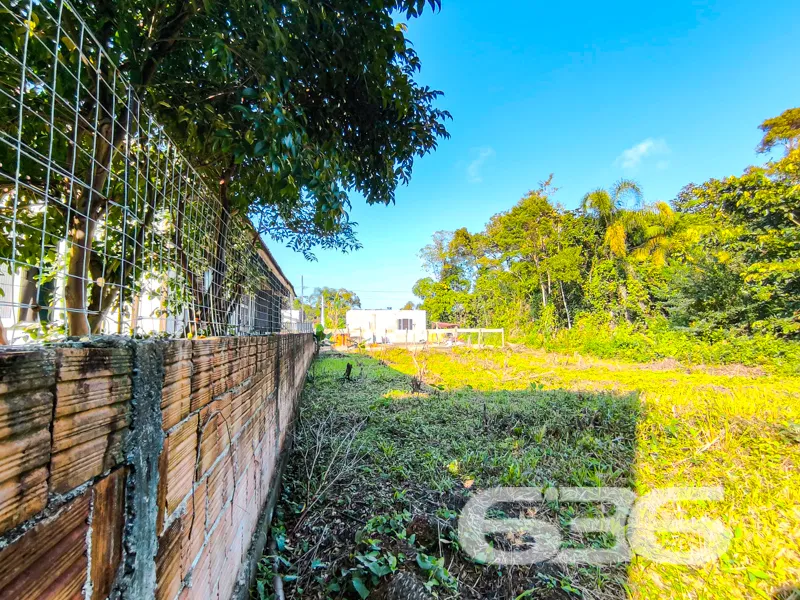 Terreno plano, com excelente aproveitamento e rode