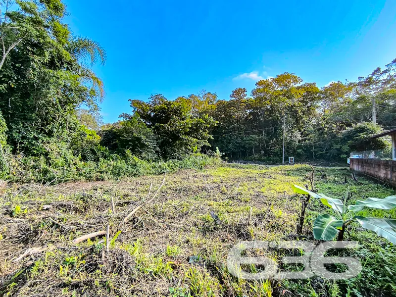 Terreno plano, com excelente aproveitamento e rode