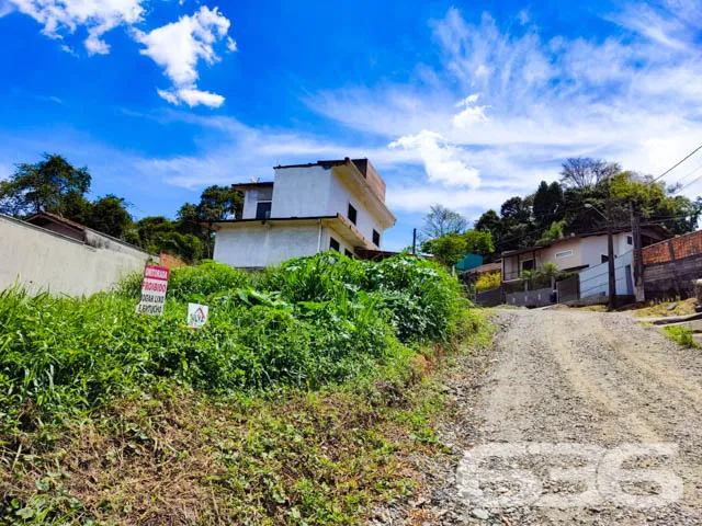 LOTE À VENDA NO BAIRRO FLORESTA
Situado no bairro