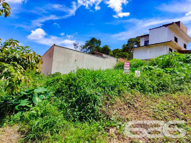 LOTE À VENDA NO BAIRRO FLORESTA
Situado no bairro