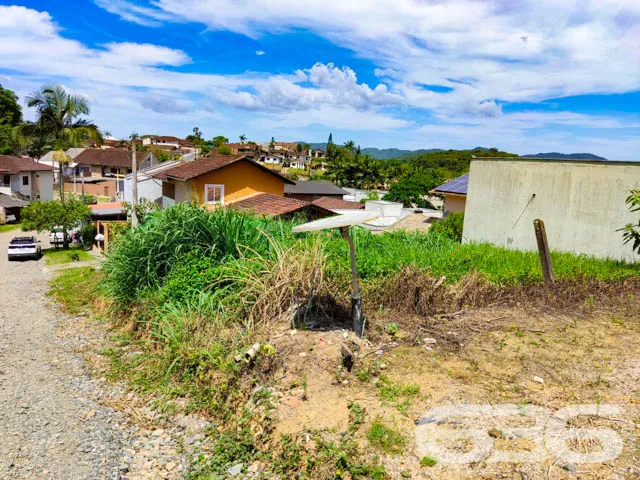 LOTE À VENDA NO BAIRRO FLORESTA
Situado no bairro