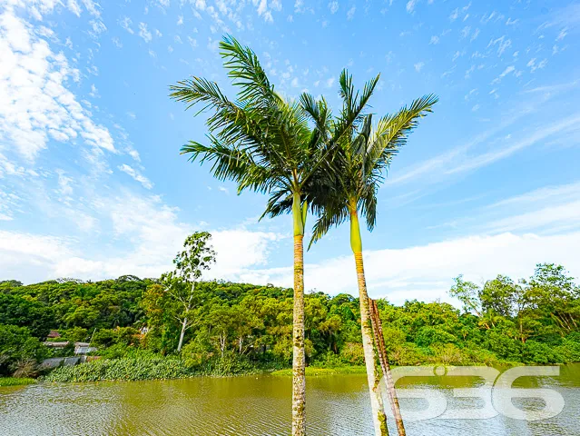 IMĂVEL COM FUNDOS PARA O RIO - BAIRRO BUCAREIN
Ap