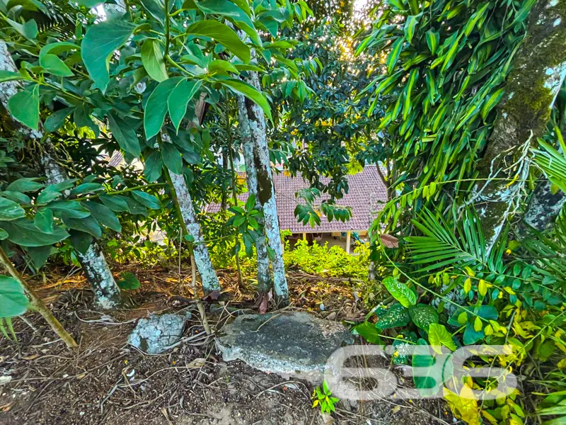 ResidĂȘncia tĂ©rrea ampla, terreno com 888mÂČ e edĂcu