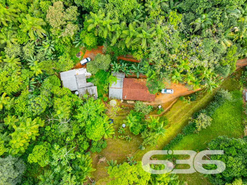 Procura por um refĂșgio com natureza abundante, mui