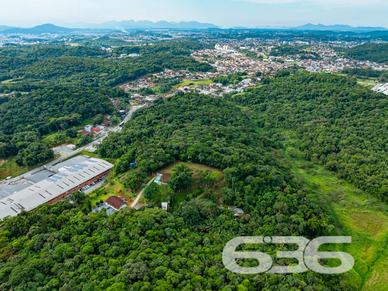 Procura por um refĂșgio com natureza abundante, mui