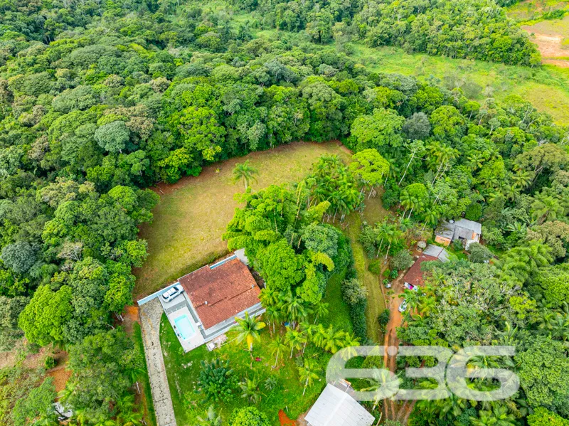 Procura por um refĂșgio com natureza abundante, mui