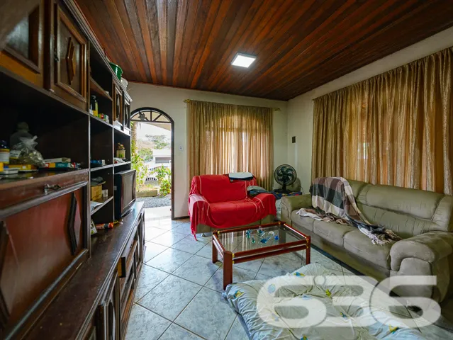 Descubra o encanto da vida em Joinville com esta r