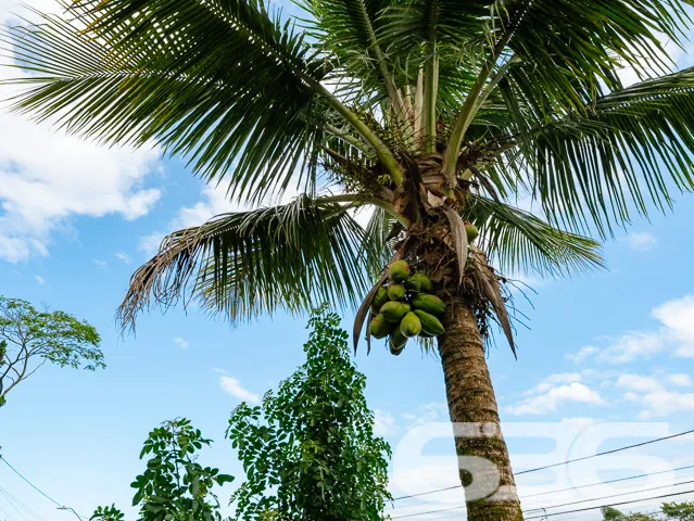 Descubra o encanto da vida em Joinville com esta r