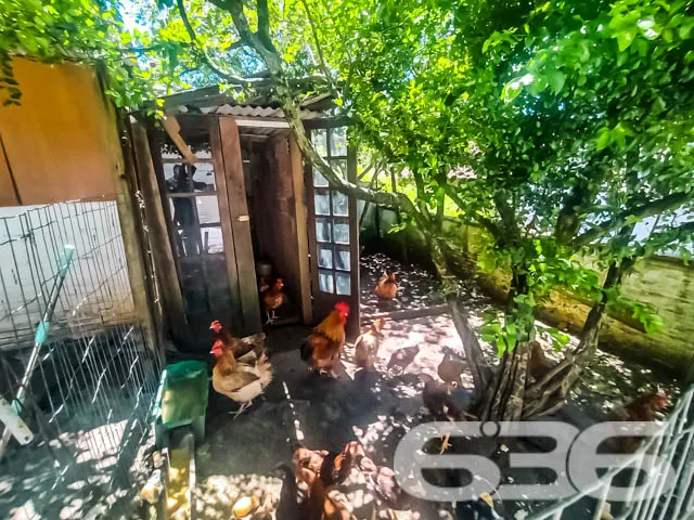 CASA COM 4 DORMITĂRIOS NO BAIRRO JARIVATUBA
Descu