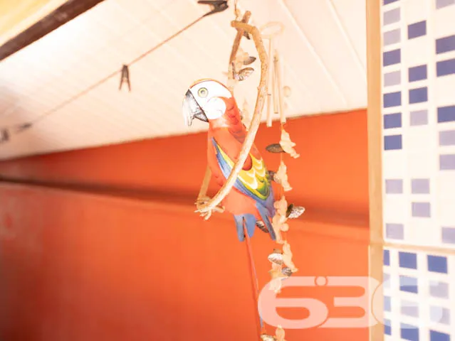 Oportunidade Imperdível em Joinville: Residência T
