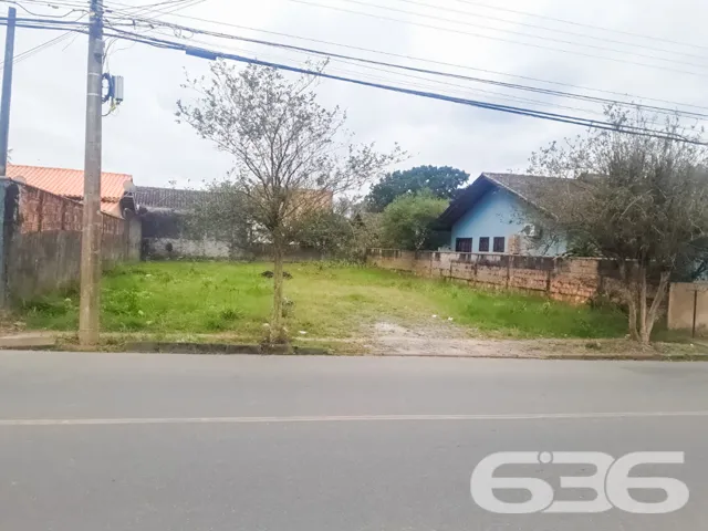 ???????? Um Sonho que Floresce no Bairro Floresta,
