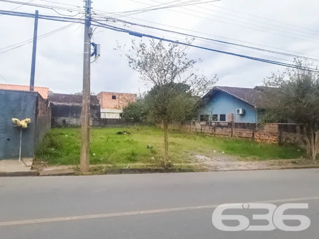 ???????? Um Sonho que Floresce no Bairro Floresta,