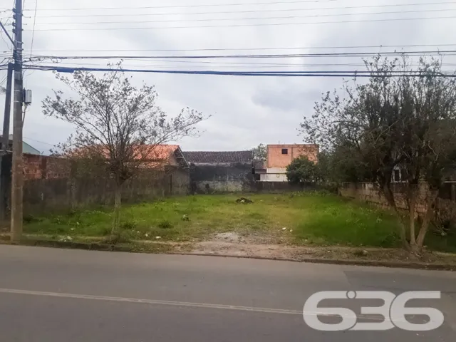 ???????? Um Sonho que Floresce no Bairro Floresta,