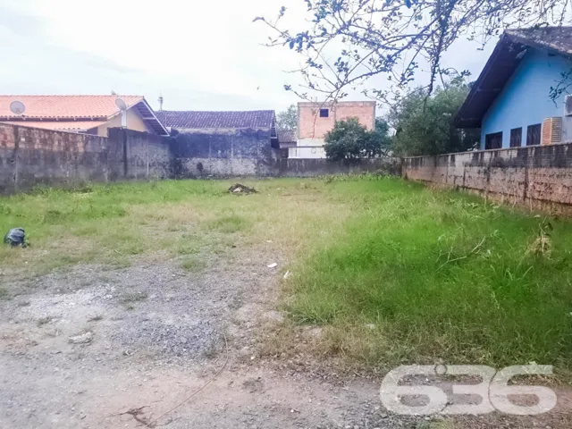 ???????? Um Sonho que Floresce no Bairro Floresta,