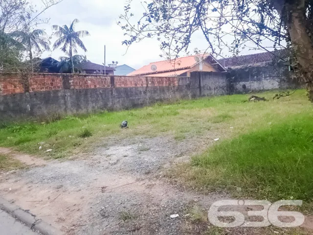 ???????? Um Sonho que Floresce no Bairro Floresta,