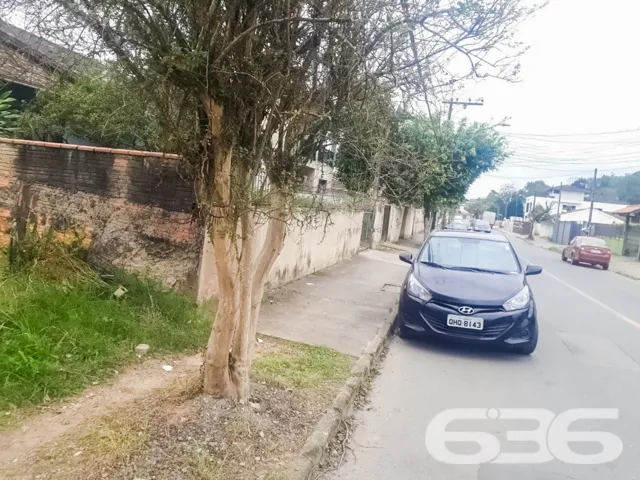 ???????? Um Sonho que Floresce no Bairro Floresta,