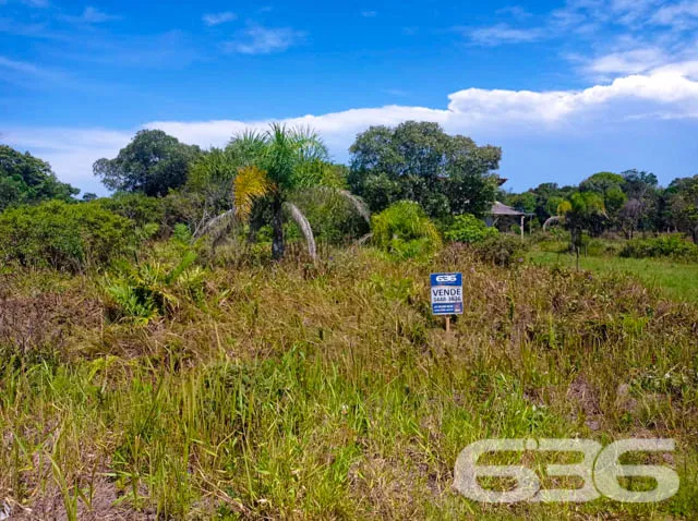APROVEITE ESTE TERRENO NO ERVINO!

Este é o lote p