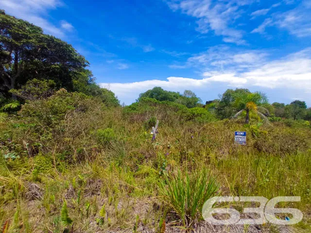 APROVEITE ESTE TERRENO NO ERVINO!

Este é o lote p