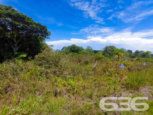 APROVEITE ESTE TERRENO NO ERVINO!

Este é o lote p