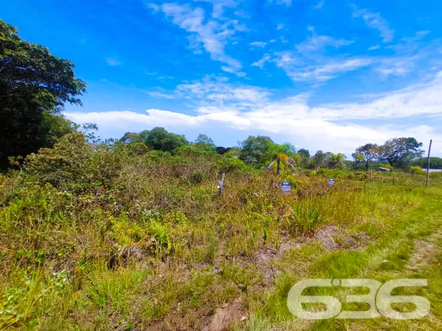 APROVEITE ESTE TERRENO NO ERVINO!

Este é o lote p
