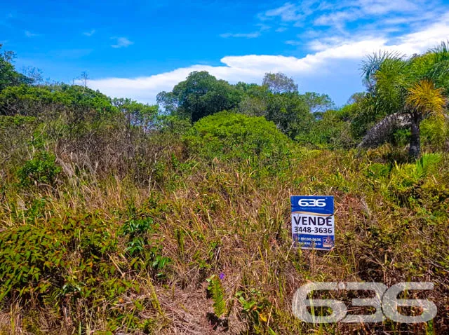 APROVEITE ESTE TERRENO NO ERVINO!

Este é o lote p