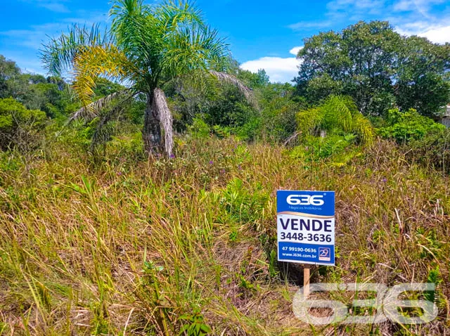 APROVEITE ESTE TERRENO NO ERVINO!

Este é o lote p