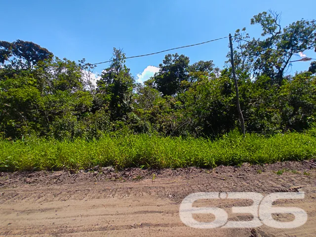 ERVINO, SÃO FRANCISCO DO SUL: INVISTA NESTE TERREN