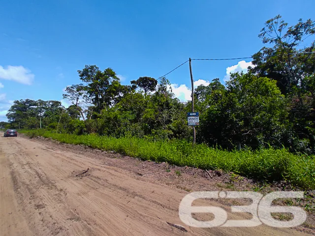 ERVINO, SÃO FRANCISCO DO SUL: INVISTA NESTE TERREN