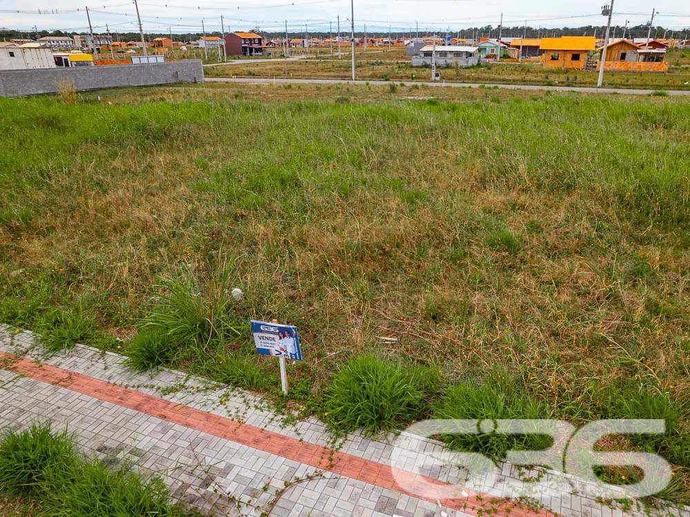 LOTE À VENDA EM ARAQUARI - COLÉGIO AGRÍCOLA

Imagi
