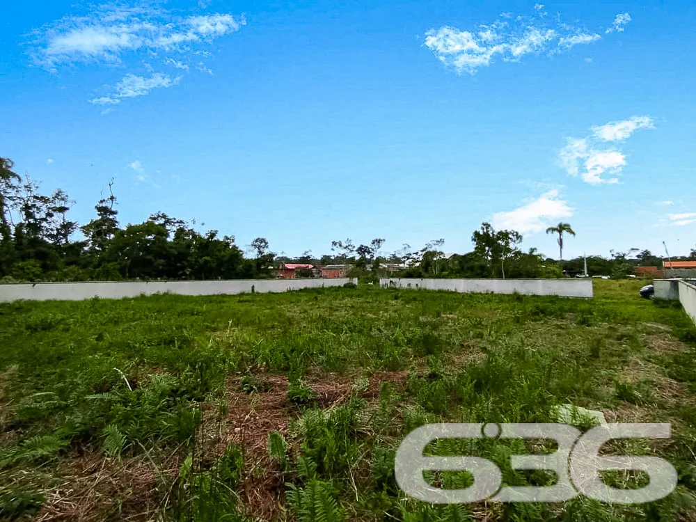 Terreno Murado em São Francisco do Sul – Oportunid