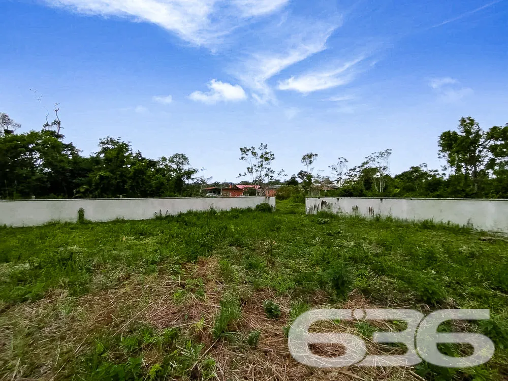 Terreno Murado em São Francisco do Sul – Oportunid
