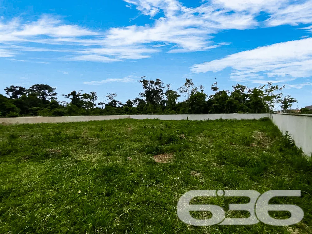 Terreno Murado em São Francisco do Sul – Oportunid