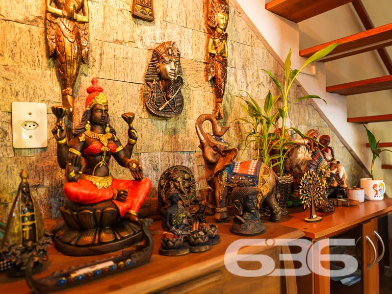 Descubra a excelente oportunidade de viver com con