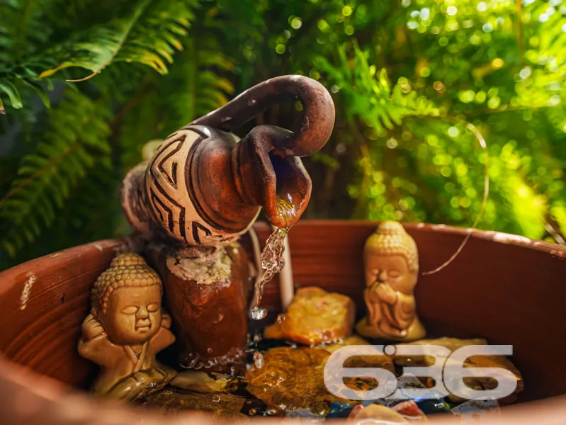 Descubra a excelente oportunidade de viver com con